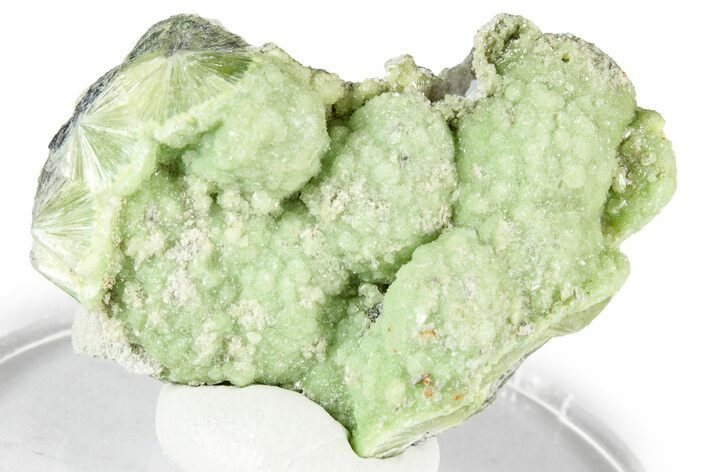 Sparkly Botryoidal Green Wavellite Formation - Arkansas #354585